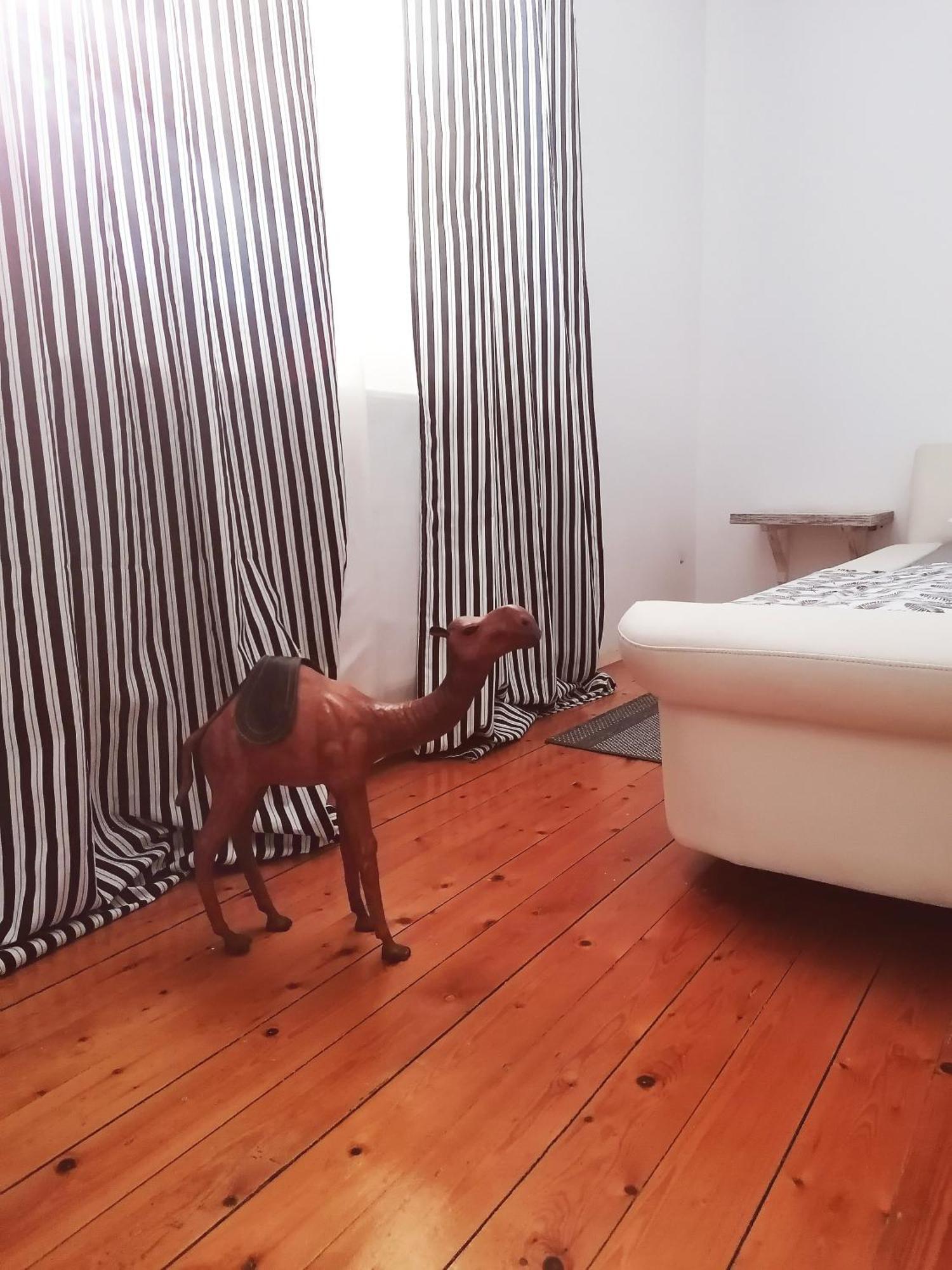 Apartman Centar Kruševac Dış mekan fotoğraf